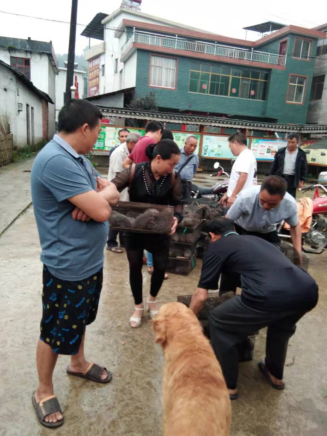 廣西桂林圖片/廣西桂林樣板圖 (2)