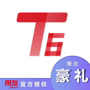 用友暢捷通T6企業(yè)管理ERP系統(tǒng)（總賬+報表+固定資產） 30天試用版 用友ERP系統(tǒng)