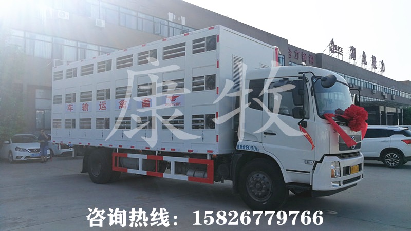 全鋁合金10米豬仔轉(zhuǎn)運車拉豬車