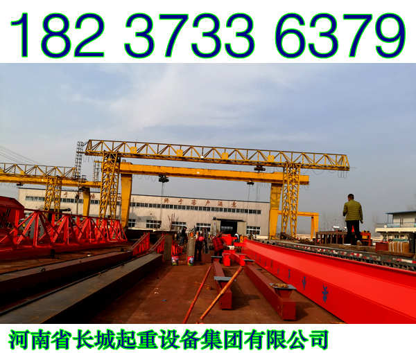 四川攀枝花龍門吊公司大團(tuán)圓圖片