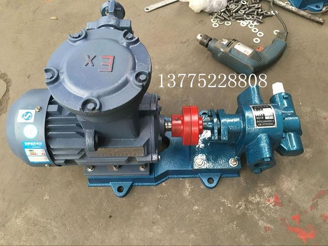 江蘇防爆齒輪泵廠家、價格、批發(fā)【常州市武眾導(dǎo)熱油泵有限公司】