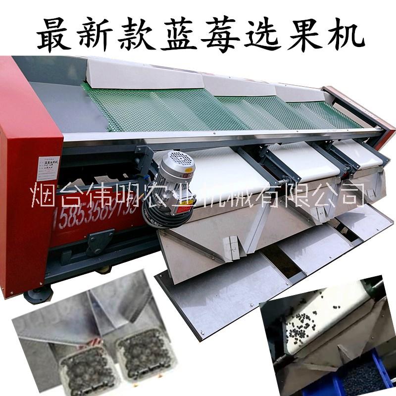 供應(yīng)煙臺(tái)偉明藍(lán)莓選果機(jī)可直接裝盒