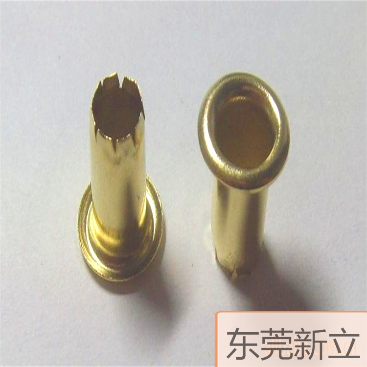 汽眼圖片/汽眼樣板圖 (3)