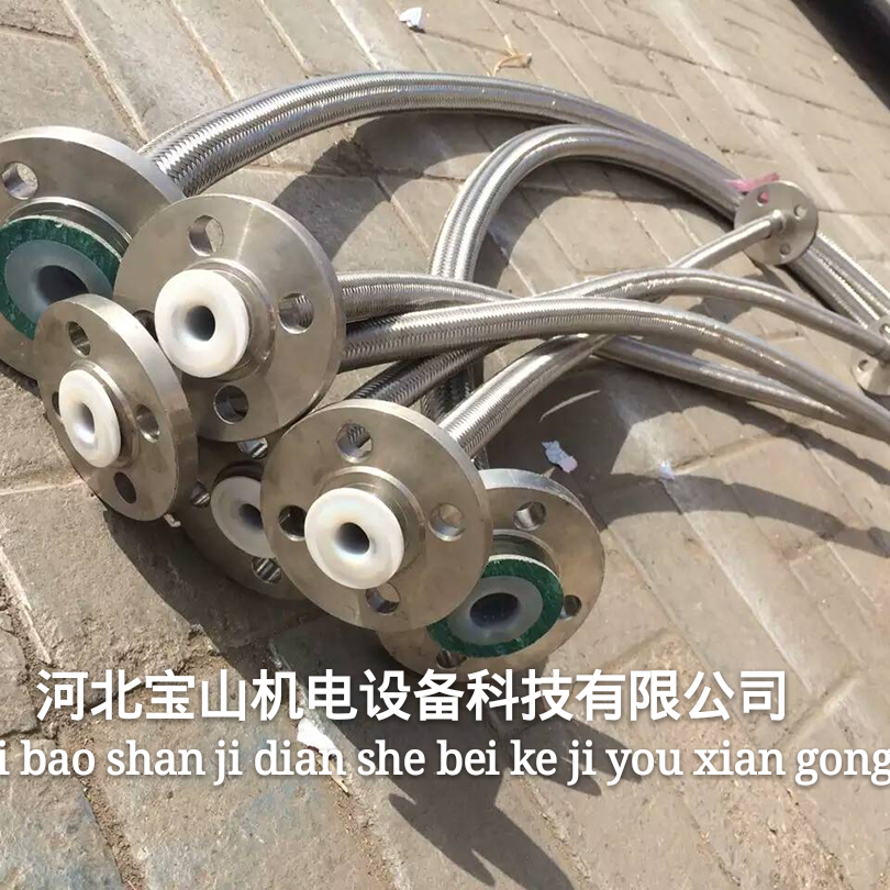 法蘭金屬軟管圖片