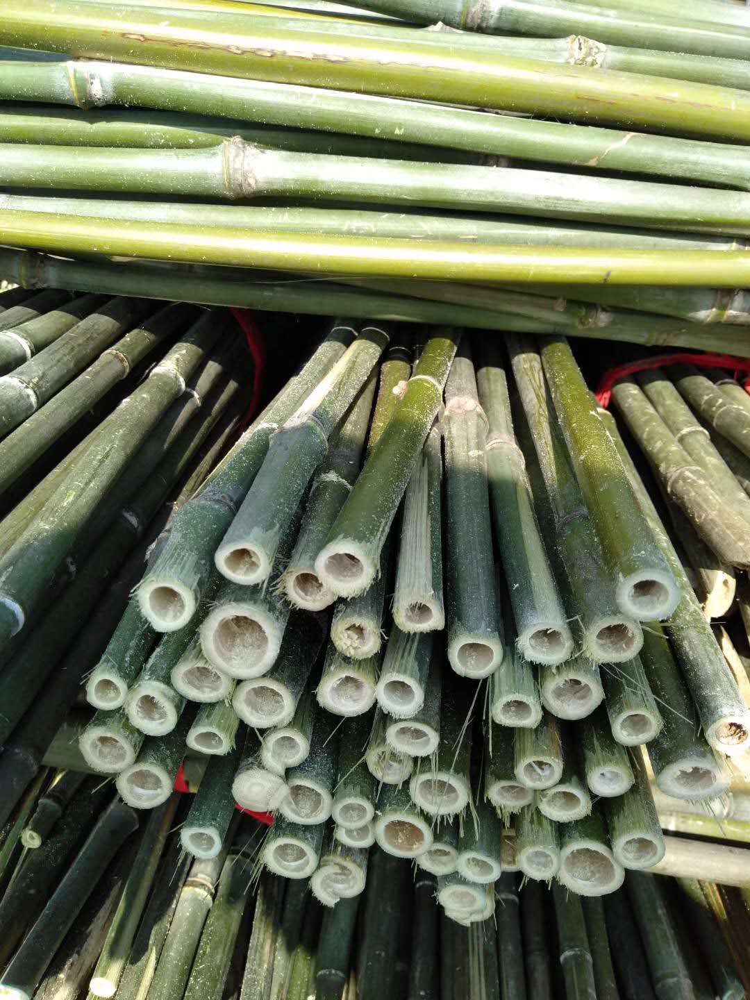 新疆哪里有竹片供應(yīng)、加工、報(bào)價(jià)電話【湖南衡陽(yáng)市竹木供銷有限公司】