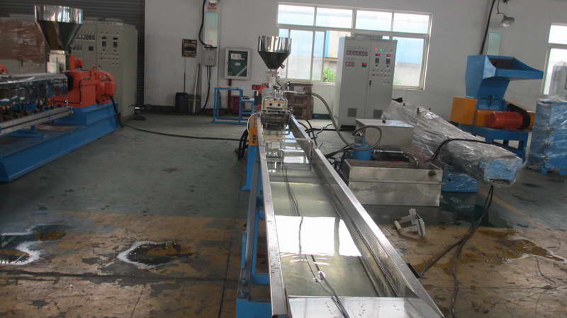 金針菇種植圖片/金針菇種植樣板圖 (2)