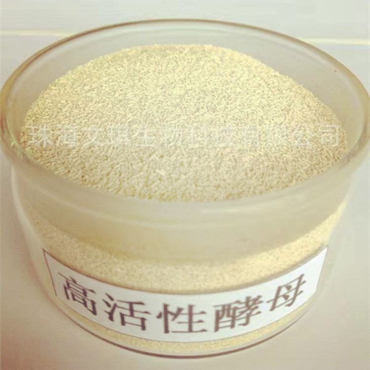 活性干酵母圖片/活性干酵母樣板圖 (2)