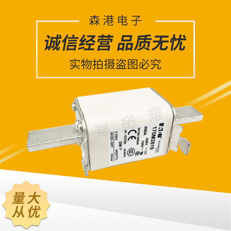 巴斯曼熔断器 170M3819全新现货质量保证690v