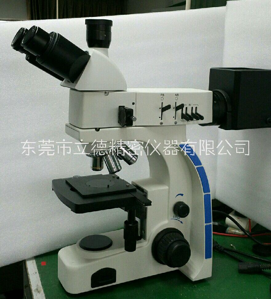 生物顯微鏡圖片/生物顯微鏡樣板圖 (2)