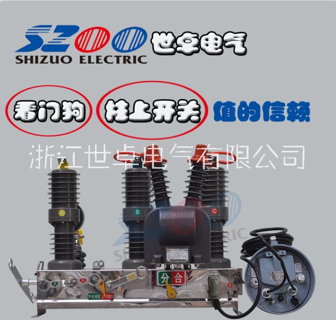 ZW32-12F高壓開關(guān) 智能斷路器 柱上分界開關(guān) 廠家直銷
