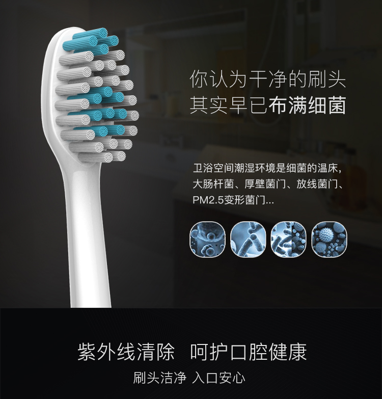 超聲波電動牙刷圖片/超聲波電動牙刷樣板圖 (4)