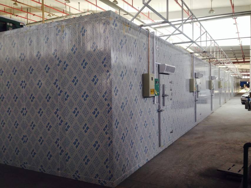 保鮮庫圖片/保鮮庫樣板圖 (2)