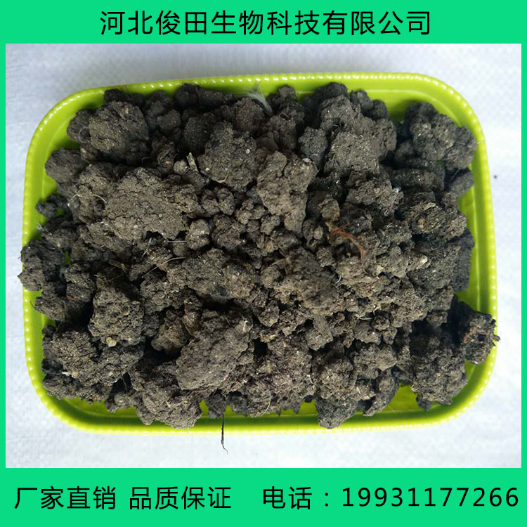 烘干雞糞圖片/烘干雞糞樣板圖 (2)