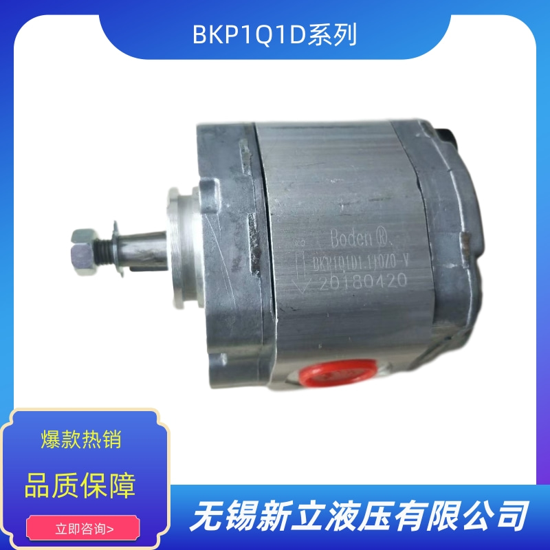 BKP1Q1D0.8T0Z0-V圖片/BKP1Q1D0.8T0Z0-V樣板圖 (1)