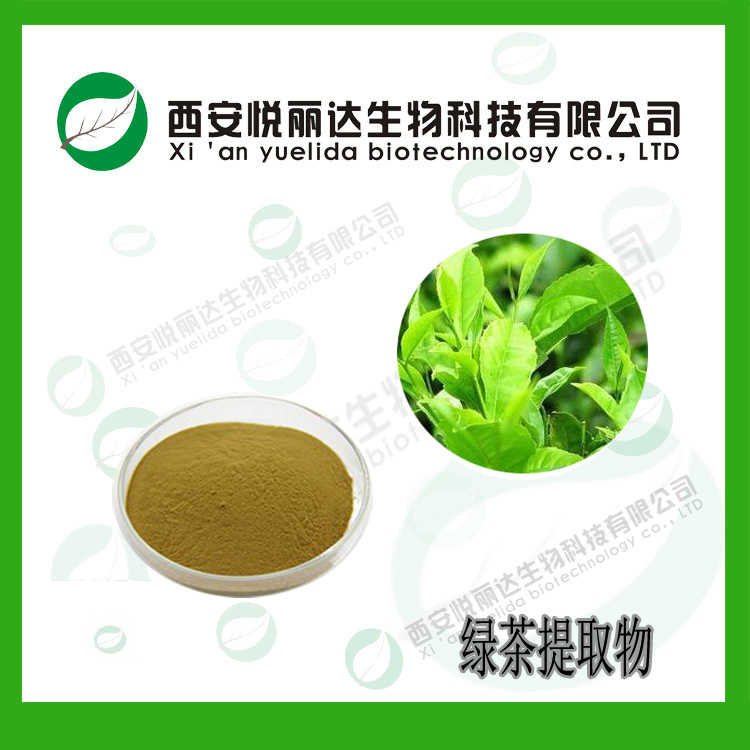 绿茶提取物 茶叶浓缩浸膏粉速溶粉 生产厂家