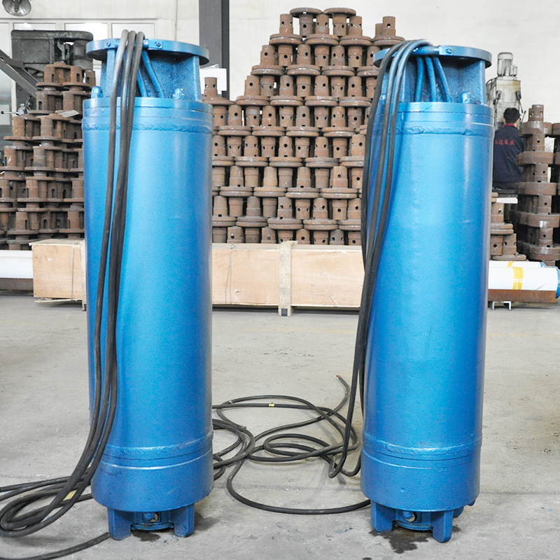 青島市中吸式大流量軸流泵