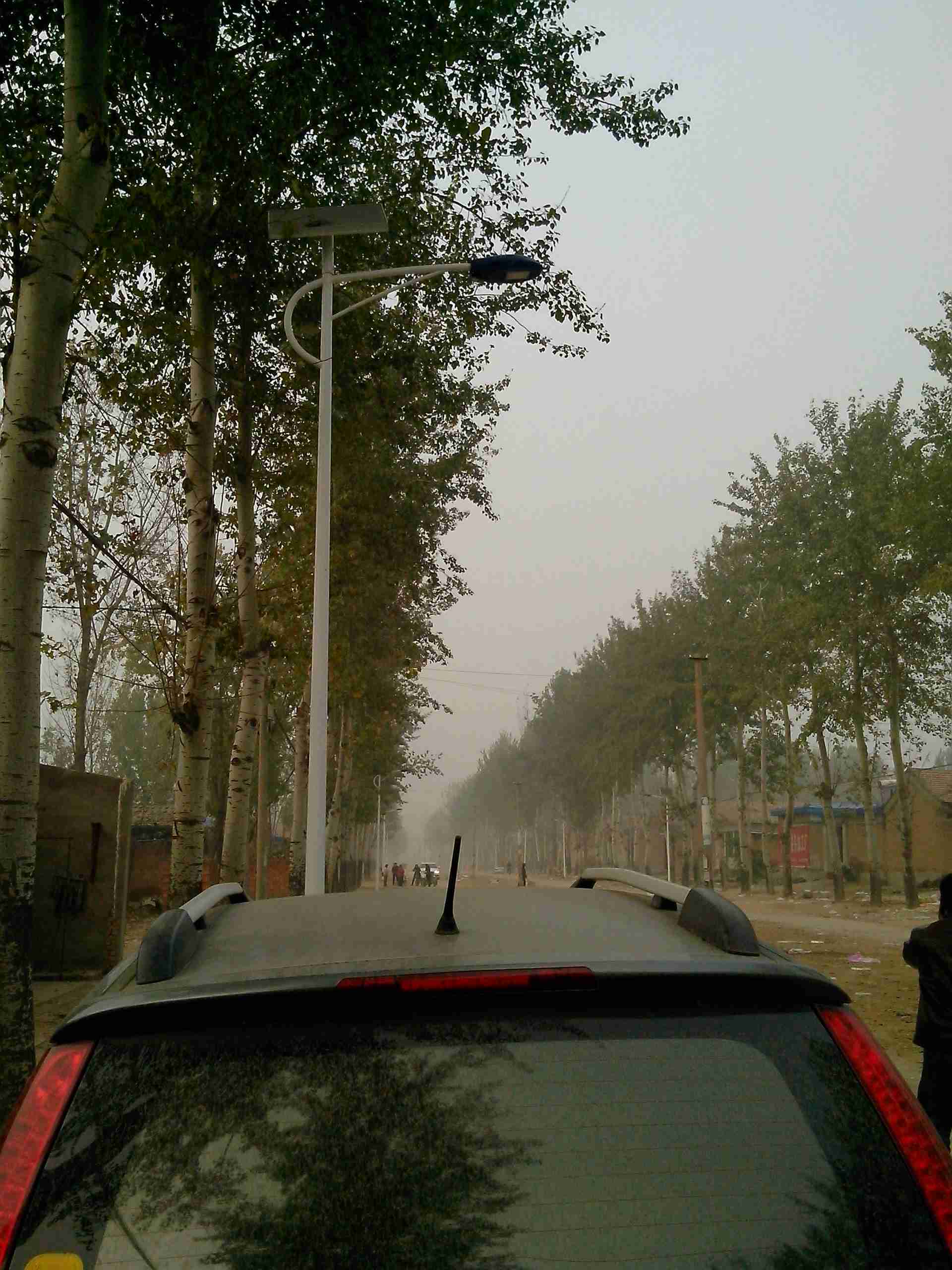 太陽能路燈圖片/太陽能路燈樣板圖 (3)