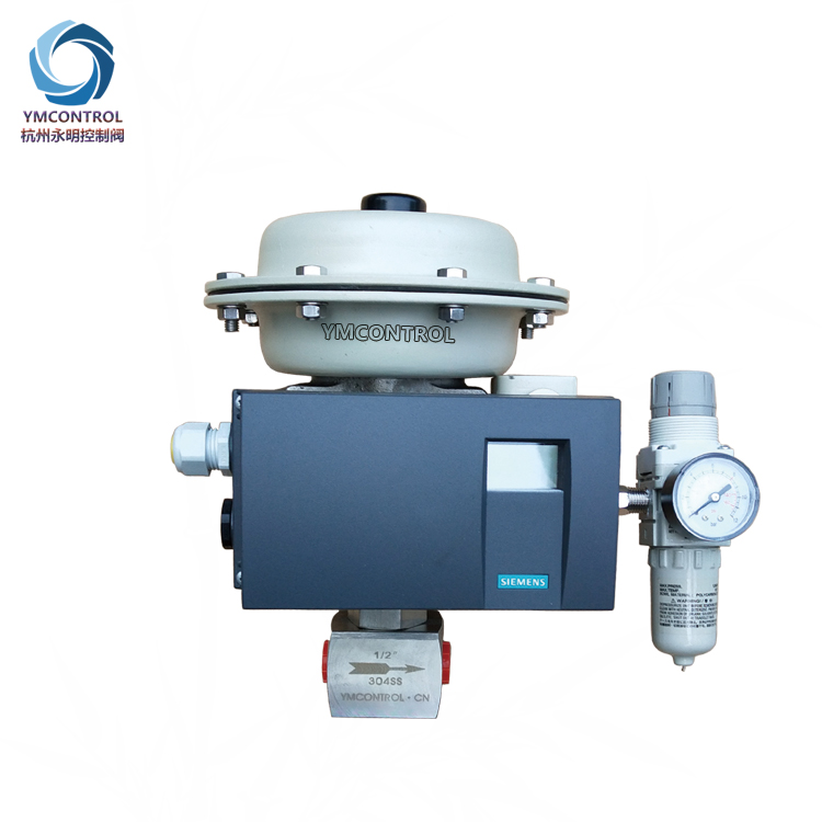 氣動(dòng)小流量調(diào)節(jié)閥圖片/氣動(dòng)小流量調(diào)節(jié)閥樣板圖 (3)