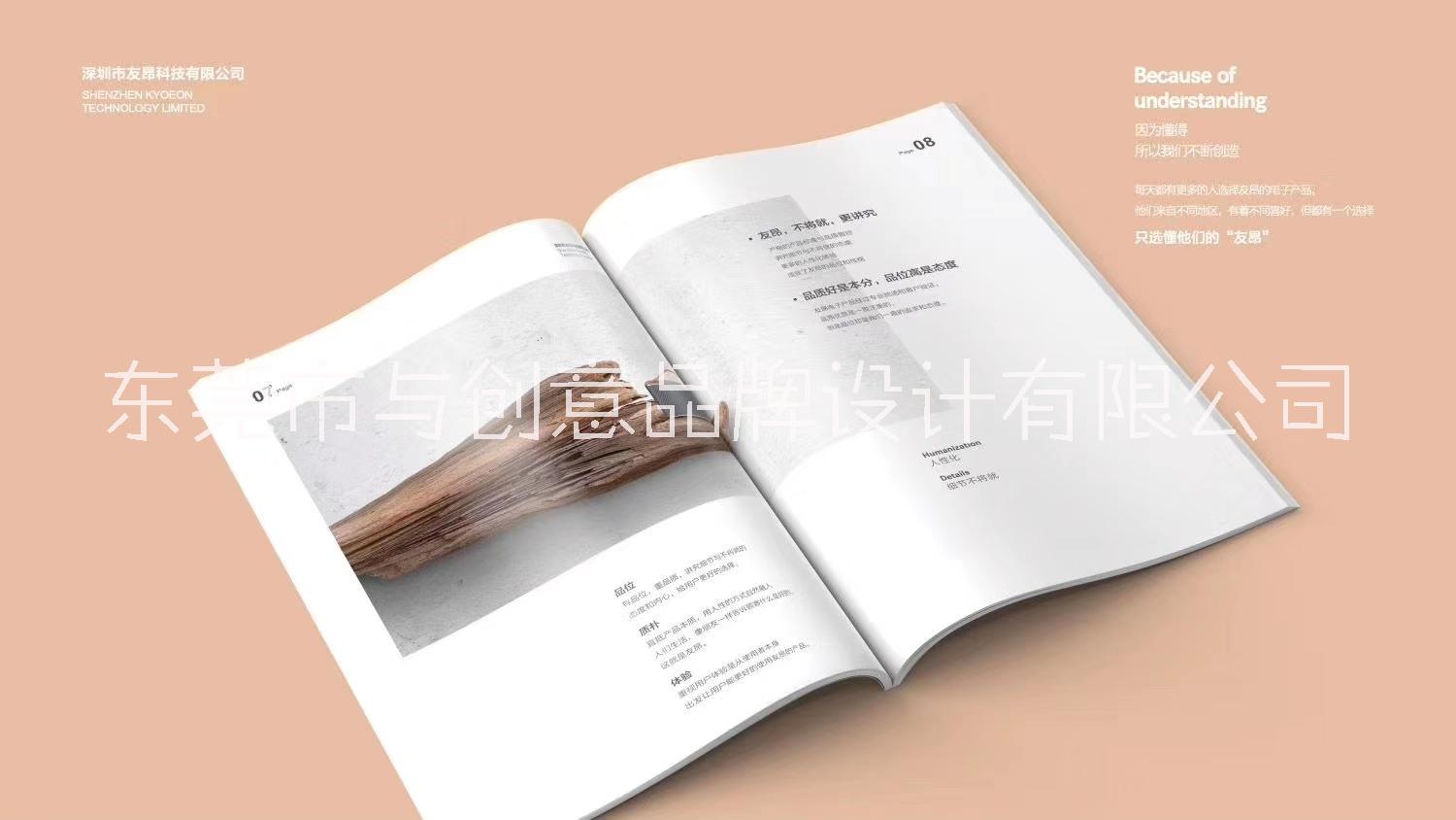 東莞畫冊(cè)圖片/東莞畫冊(cè)樣板圖 (4)