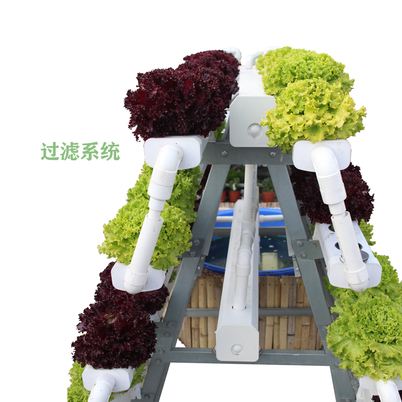 植物種植架圖片/植物種植架樣板圖 (2)