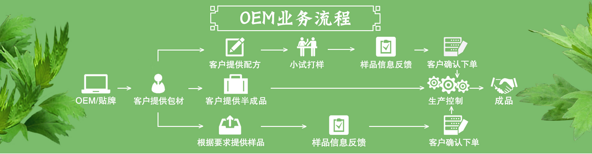 楚德 肩周炎冷敷贴 原厂直供  可ODM定制款