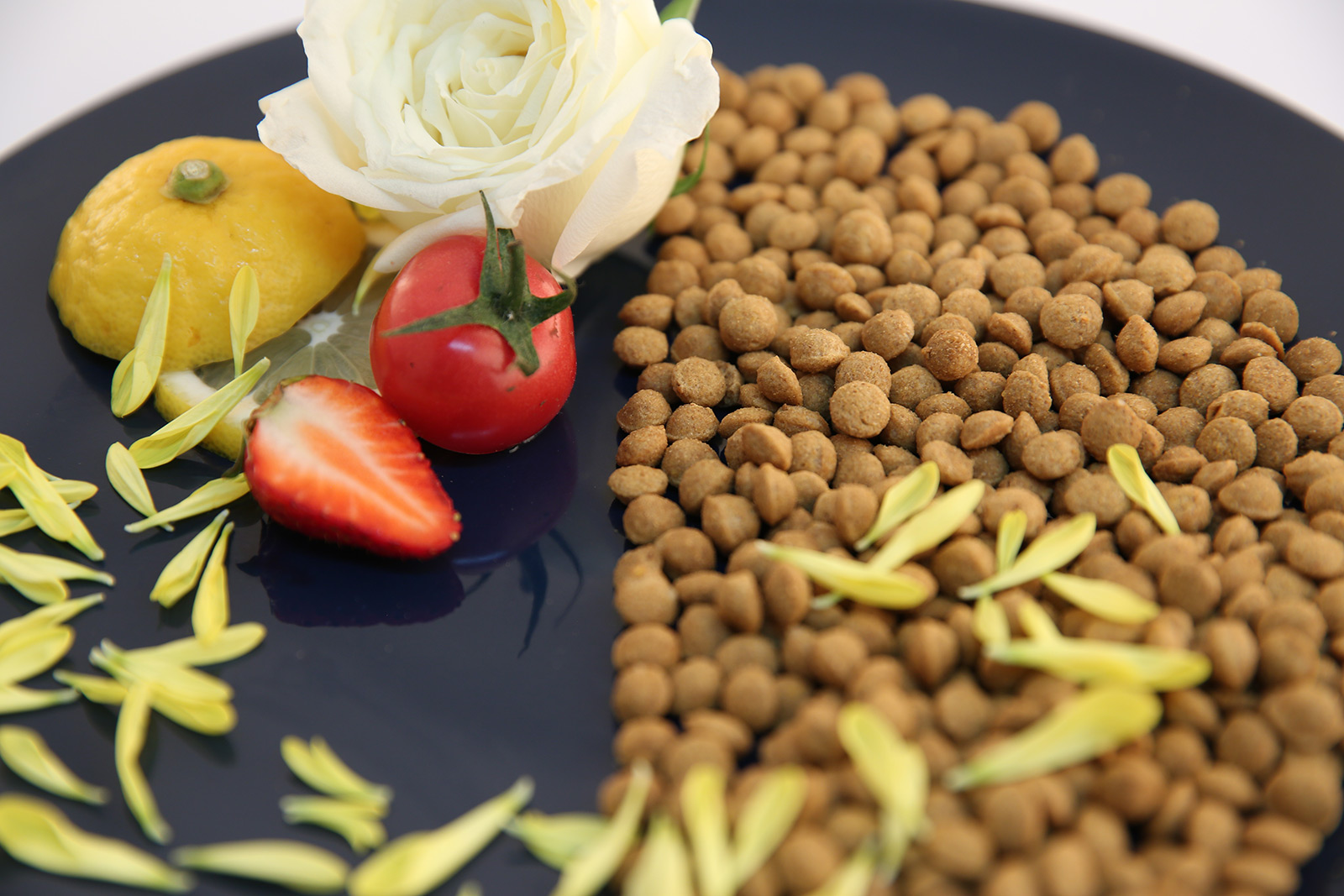 狗糧代工圖片/狗糧代工樣板圖 (2)