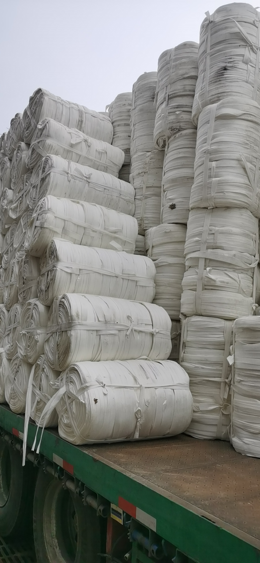 布帶圖片/布帶樣板圖 (3)