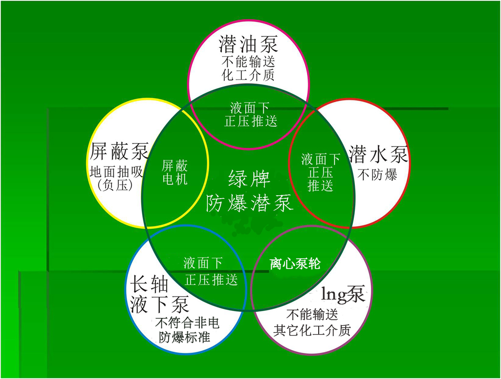 潛泵圖片/潛泵樣板圖 (3)