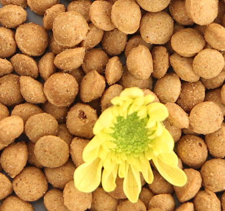 貓糧代工 貝可恩營養(yǎng)貓糧 銷售