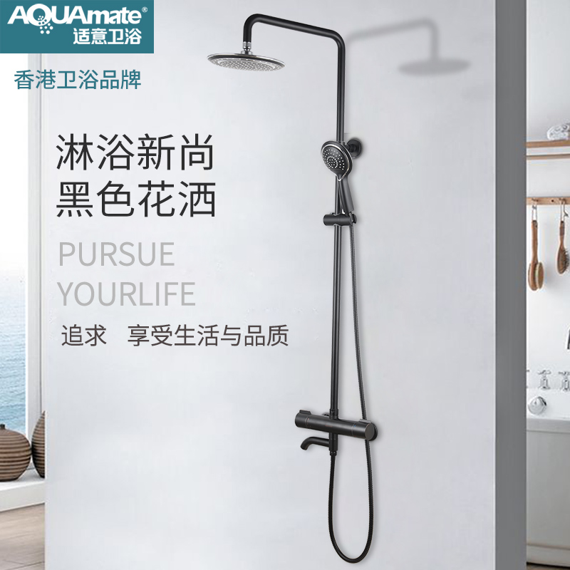 全銅龍頭家用浴室花灑淋雨噴頭