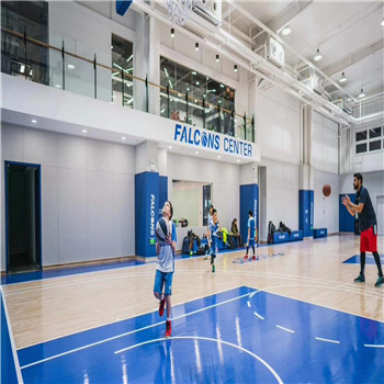 羽毛球館木地板圖片/羽毛球館木地板樣板圖 (2)