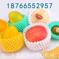 西葫蘆圖片/西葫蘆樣板圖 (3)