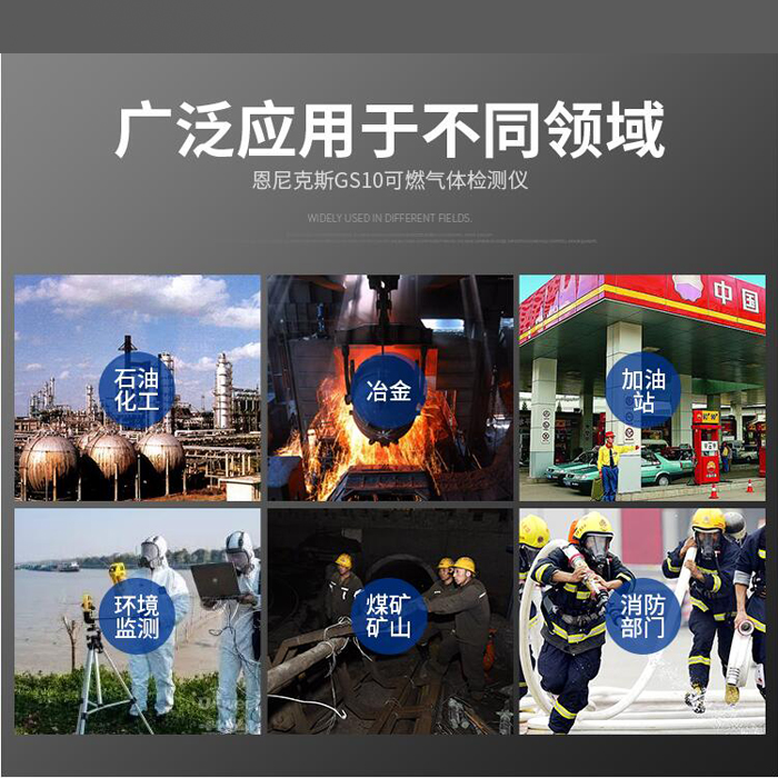 恩尼克斯GS-40圖片/恩尼克斯GS-40樣板圖 (3)