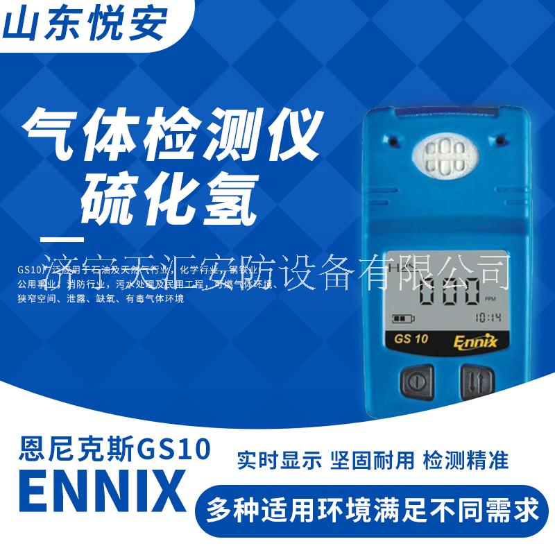 恩尼克斯GS-10单一气体检测仪可燃气体检测仪扩散手持式气体检测仪图片