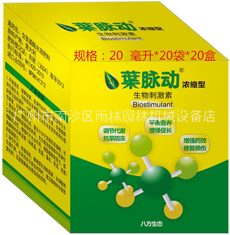 諾普信葉脈動圖片/諾普信葉脈動樣板圖 (2)