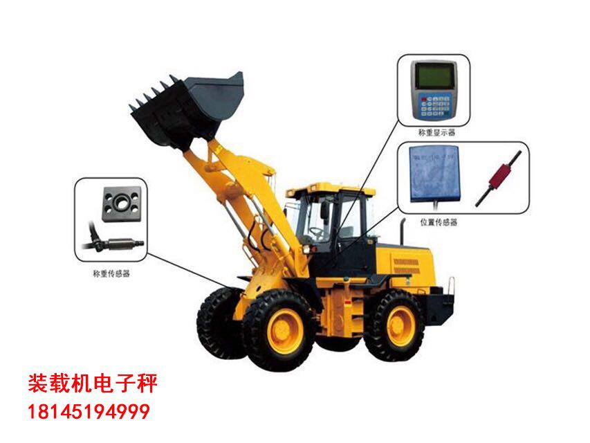 鞍山衡器 衡器厂报价 电子吊磅-图片