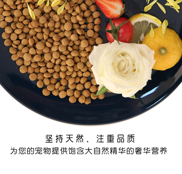 犬糧圖片/犬糧樣板圖 (1)