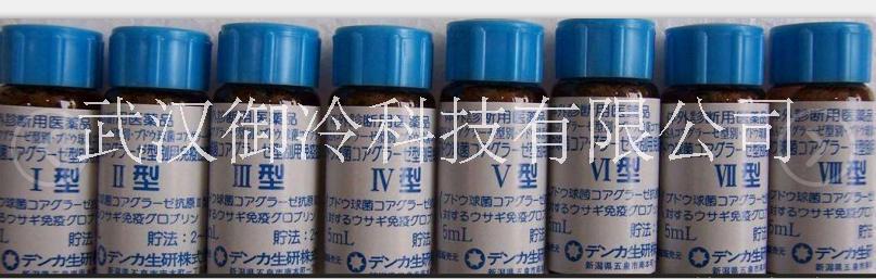 热销疾控中心 研究所专用葡萄球菌血浆凝固酶检测用诊断血清套装 单品