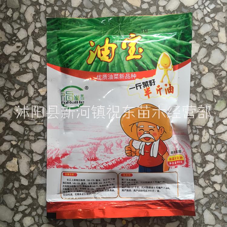 油寶圖片