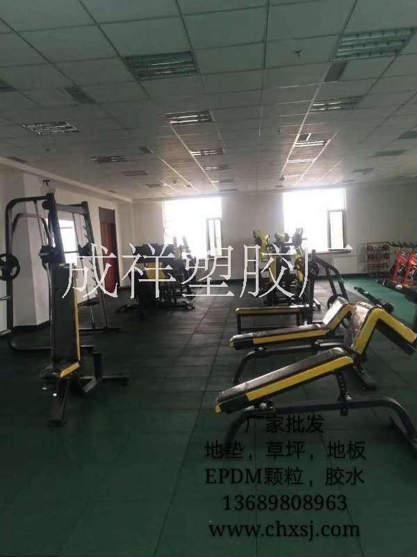 橡膠地墊健身房圖片/橡膠地墊健身房樣板圖 (2)