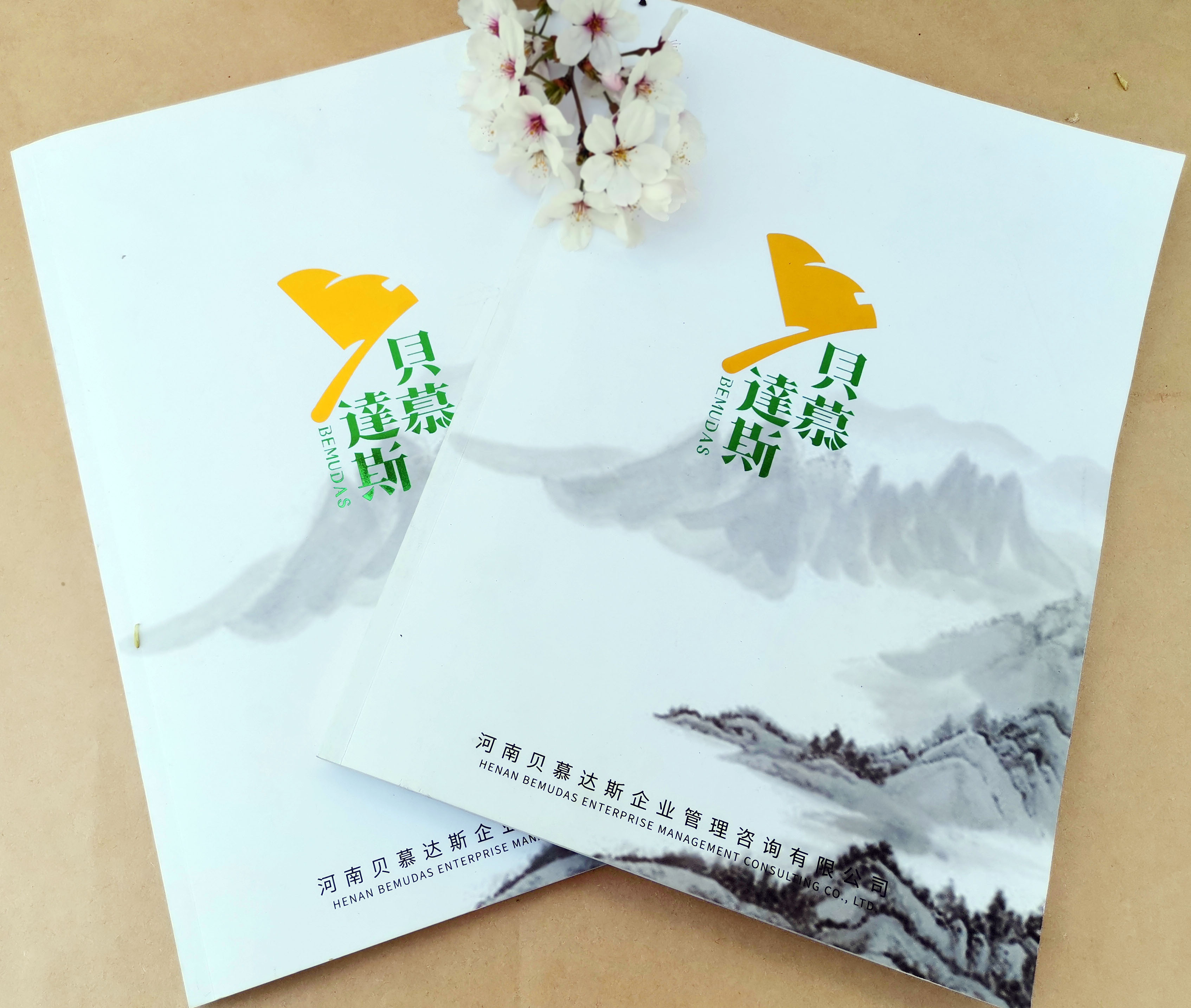 印刷彩頁(yè)印DM單做DM單引述圖片