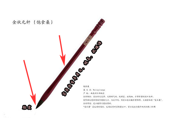 胎發(fā)圖片/胎發(fā)樣板圖 (4)