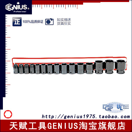 Genius天賦工具TF-016圖片/Genius天賦工具TF-016樣板圖 (3)