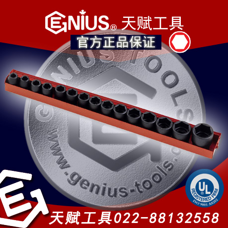 Genius天賦工具TF-016圖片/Genius天賦工具TF-016樣板圖 (1)