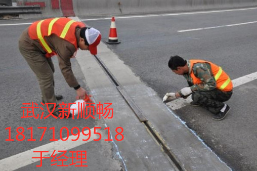 橋梁伸縮縫更換品質(zhì)施工方-武漢新順暢路橋養(yǎng)護(hù)，*