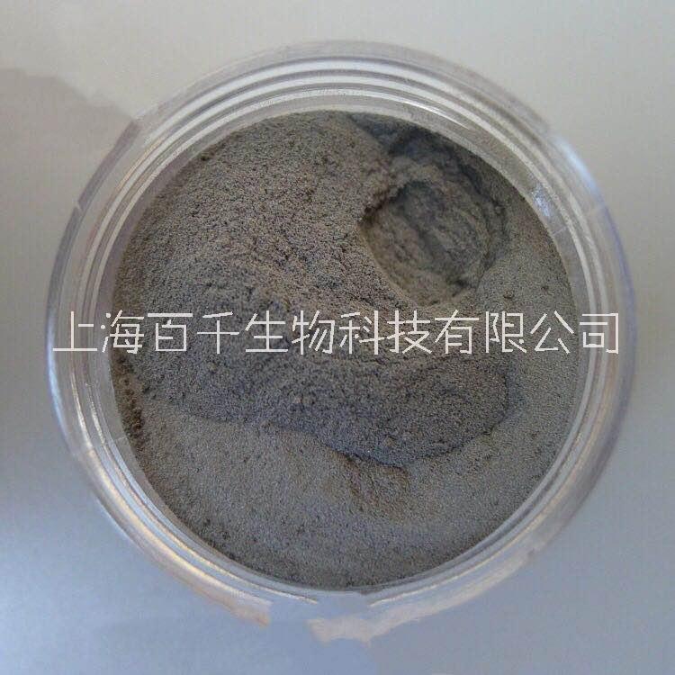 上海晶安定制铁基非晶合金粉末 雾化用铁基非晶合金粉末吸波材料 激光熔覆Fe-B-Si铁基非晶复合材料图片