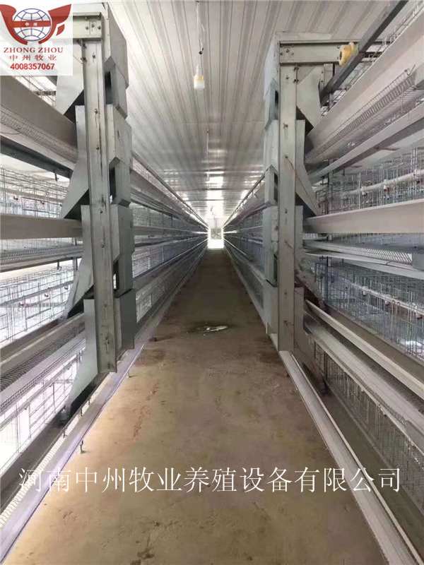 雞籠圖片/雞籠樣板圖 (4)
