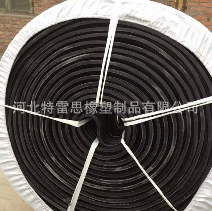 橡膠止水帶圖片/橡膠止水帶樣板圖 (3)