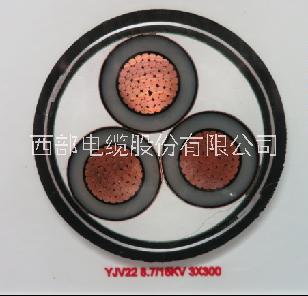 護(hù)套電力電纜圖片/護(hù)套電力電纜樣板圖 (2)