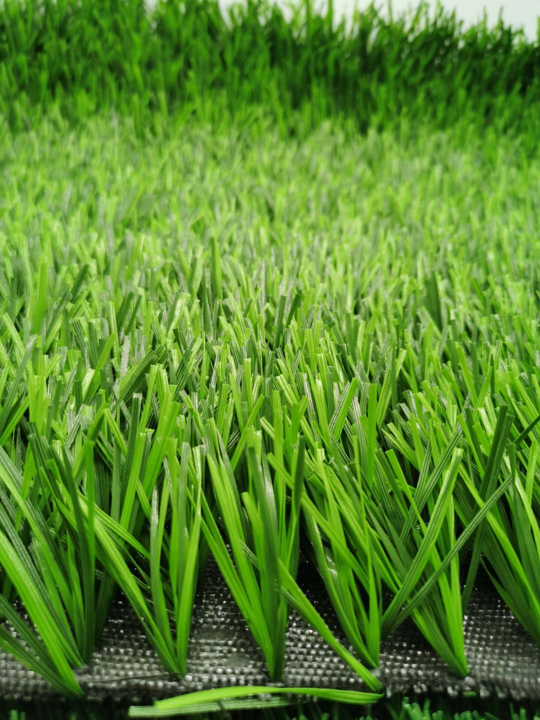 人造草坪圖片/人造草坪樣板圖 (4)